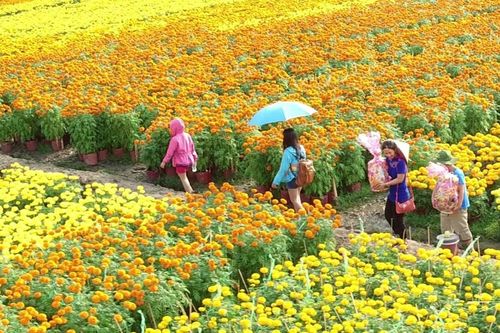 Du lịch Việt Nam với bài toán chuyển đổi mô hình bền vững