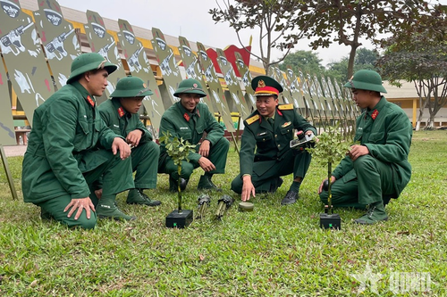 Hàng rào hồng ngoại