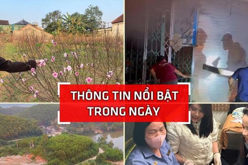Nghệ An: Thông tin nổi bật ngày 11/1