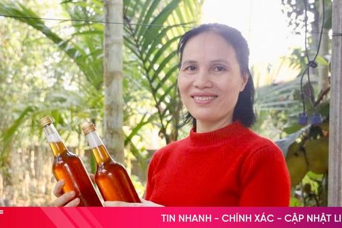 Mùa Tết bội thu của những người nuôi ong Hà Tĩnh