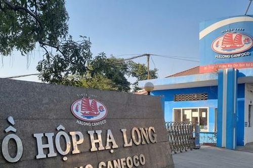 TGĐ Đồ hộp Hạ Long vừa bị bắt: Thu nhập tiền tỷ mỗi năm