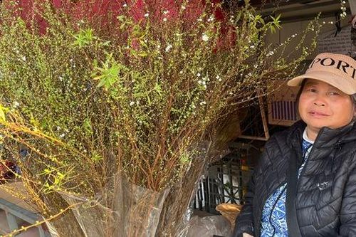 Hà Nội: Thị trường hoa Tết nhộn nhịp, nguồn cung dồi dào