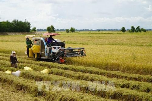 Đồng Tháp đặt mục tiêu GRDP 8–8,5% cho năm bản lề 2026