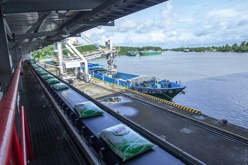 Phân bón Cà Mau vượt 'gió ngược' về đích với doanh thu kỷ lục