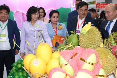 Đại hội XIV của Đảng 'mở đường' cho kinh tế TP. Hồ Chí Minh tăng trưởng hai con số