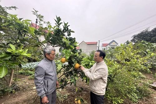 Ông Nguyễn Duy Hà gương mẫu, tâm huyết với công việc tập thể