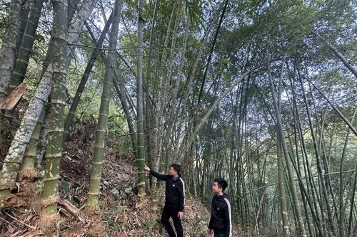 Xã Quan Sơn đưa nghị quyết vào cuộc sống