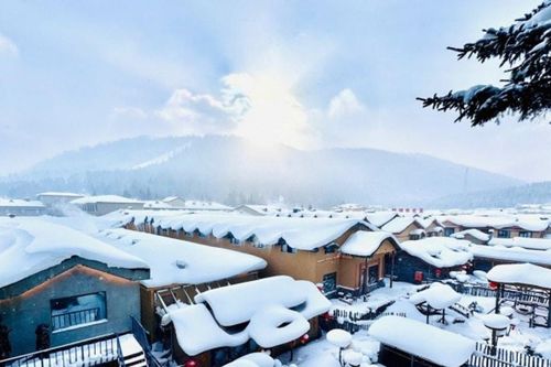 Hắc Long Giang: Khám phá làng Tuyết Hương với vẻ đẹp siêu thực như bước ra từ cổ tích