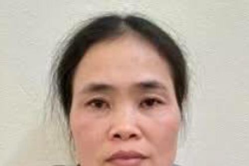Thanh Hóa: Tạm giữ đối tượng sát hại người thân, cướp đôi hoa tai vàng