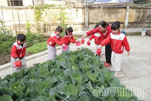 Chú trọng giáo dục ý thức bảo vệ môi trường cho trẻ mầm non