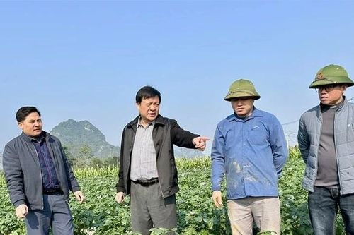 Hợp Kim đưa nghị quyết của Đảng vào cuộc sống