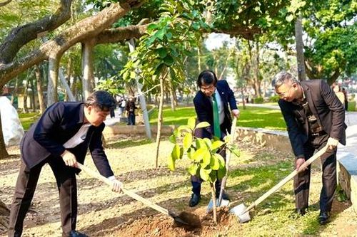 Bộ Xây dựng phát động Ngày Cây xanh Việt Nam: Hành động vì đô thị bền vững