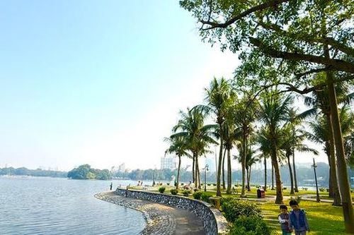 Cây xanh tạo bản sắc đô thị, nền tảng phát triển bền vững