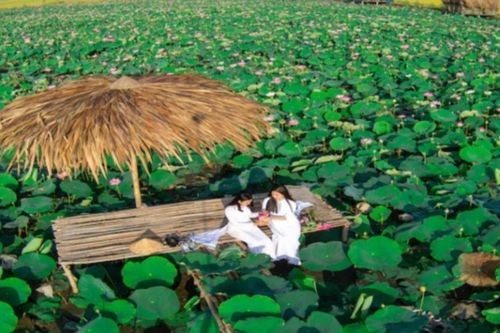 Đồng Tháp: Phát triển du lịch từ giá trị lịch sử, văn hóa và sinh thái
