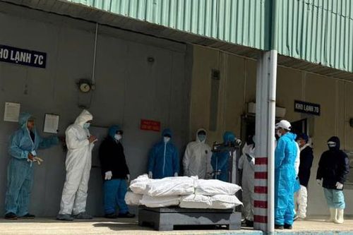 Bài học đắt giá khi lợi nhuận đặt trên sức khỏe người dân