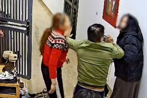 Nóng: Tạm giữ hình sự Nguyễn Thị Vân Anh- đối tượng hành hung hàng xóm ở chung cư Hà Nội