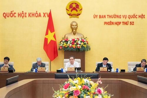 Ủy ban Thường vụ Quốc hội quyết định số lượng, cơ cấu tỷ lệ ngạch kiểm sát viên