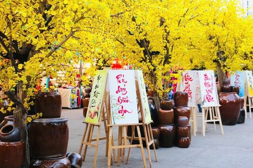 Lễ hội Tết Việt Bính Ngọ 2026 có những hoạt động gì đặc sắc?
