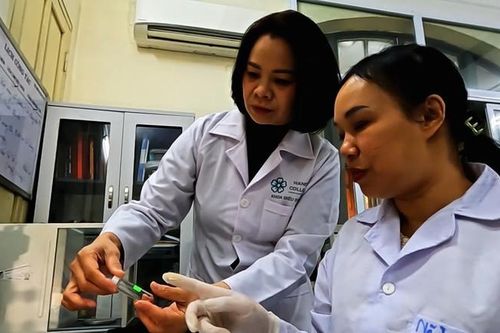 Gia tăng giá trị cho dược liệu Việt