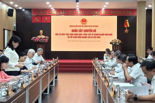Khảo sát việc thực hiện chính sách, pháp luật tại Tập đoàn Công nghiệp Cao su Việt Nam