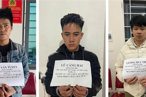 Bắt giữ 4 đối tượng liên quan ma túy trong vòng 48 giờ