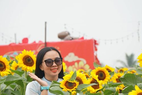Sốt sình sịch với cánh đồng hoa xuân ở TPHCM