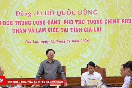 Phó Thủ tướng Hồ Quốc Dũng yêu cầu hoàn thành nhà mới để người dân Gia Lai kịp đón Tết