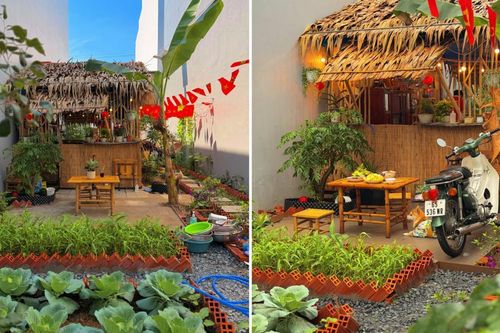 Hai chàng trai thuê đất 10 triệu/năm, dựng chòi lá đẹp lạ giữa lòng phố