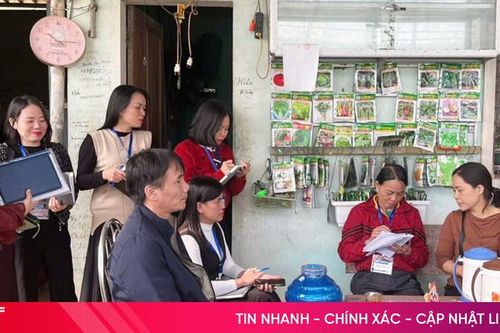 Bảo đảm tiến độ, chất lượng Tổng điều tra kinh tế 2026 tại phường Thành Sen