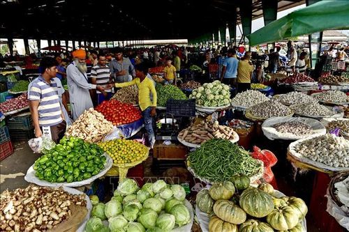 Dấu hiệu quan trọng về hướng phát triển của kinh tế Ấn Độ