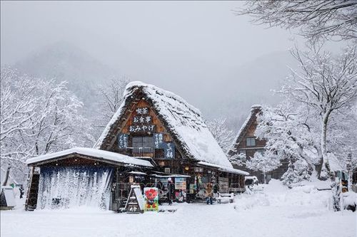 Shirakawago mùa Đông – ngôi làng cổ tích giữa núi rừng Nhật Bản