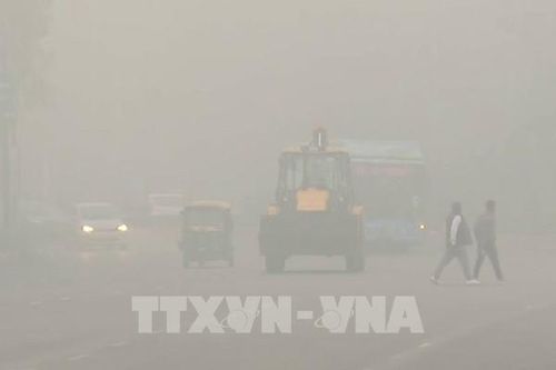 Trí tuệ nhân tạo và nghịch lý khí hậu