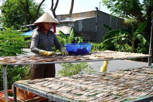 Cục Thống kê: Năm 2025, thu nhập bình quân đầu người tăng 9,3%