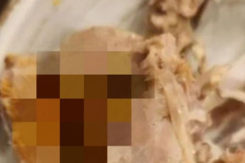 Ăn canh gà nhân sâm tại nhà hàng nổi tiếng, thực khách cắn trúng thứ gây phẫn nộ