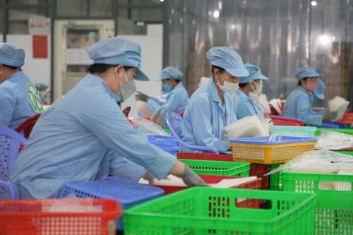 'Bộ gen mới' cho tăng trưởng kinh tế Việt Nam 2026