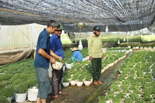 'Gỡ vướng' để tập trung đất đai, phát triển nông nghiệp ở Hoằng Giang