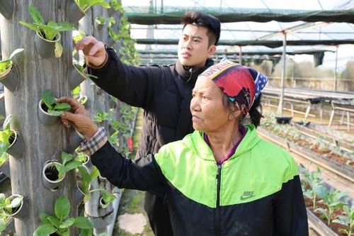 Sản xuất gắn với hoạt động trải nghiệm, du lịch: Hướng đi mới cho sản xuất nông nghiệp