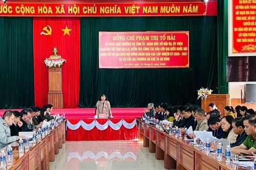 Đồng chí Phạm Thị Tố Hải kiểm tra công tác chuẩn bị bầu cử tại 2 phường An Khê, An Bình và xã Cửu An