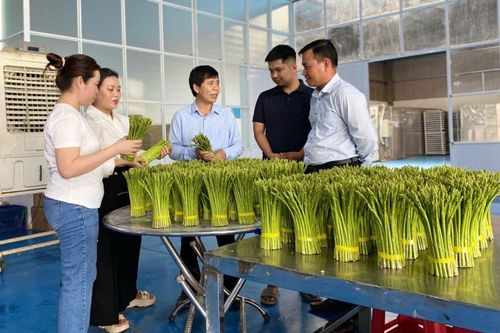Phê duyệt Chương trình khuyến nông giai đoạn 2026 - 2030