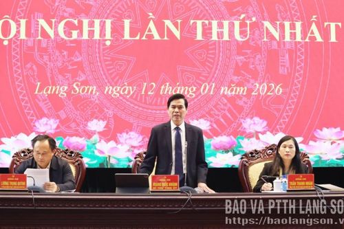 Nghiên cứu, tìm những cây, con giống phù hợp, có giá trị kinh tế cao để đưa vào sản xuất