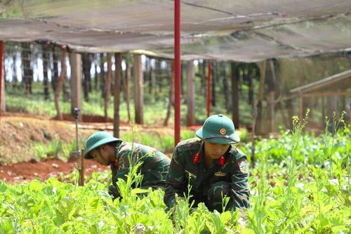 Chuẩn bị chu đáo cho bộ đội đón tết