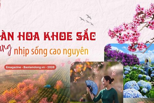 Ngàn hoa khoe sắc cùng nhịp sống cao nguyên