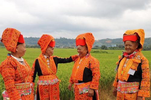 Nét đẹp trang phục truyền thống của người Dao