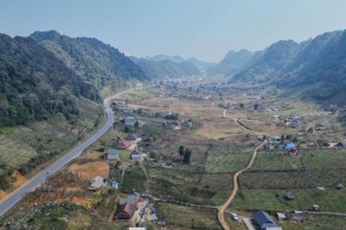 Mộc Châu: Lạc bước giữa mùa hoa đào mận nở sớm trên cao nguyên