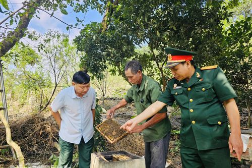 Cựu chiến binh xã Thanh Lâm thi đua phát triển kinh tế chào mừng Đại hội XIV của Đảng