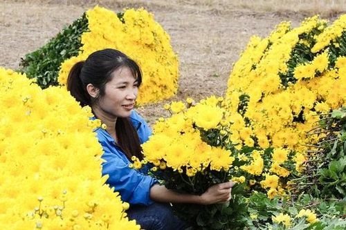 Làng hoa Nhân Vực hối hả vào mùa hoa Tết