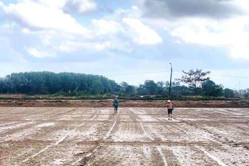 Nông dân khẩn trương sản xuất vụ đông-xuân