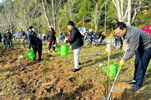 Xã Hồng Thái tổ chức Lễ phát động Ngày Cây xanh Việt Nam năm 2026