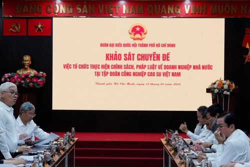 Khảo sát việc thực hiện chính sách, pháp luật tại Tập đoàn Công nghiệp Cao su Việt Nam