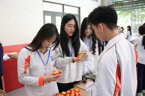 Học sinh Hà Nội biến giấy vụn thành 'món đồ xanh' thân thiện môi trường
